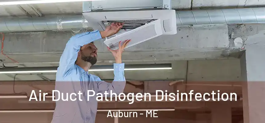 Air Duct Pathogen Disinfection Auburn - ME