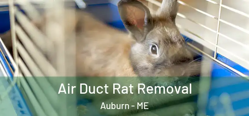  Air Duct Rat Removal Auburn - ME
