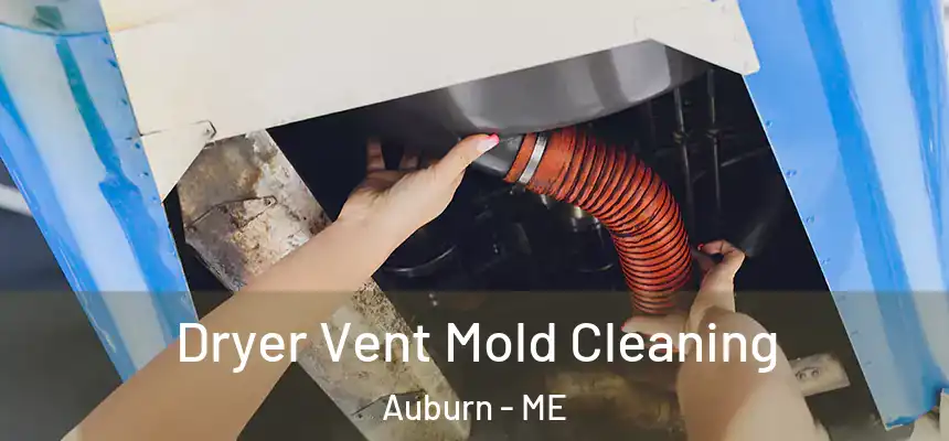 Dryer Vent Mold Cleaning Auburn - ME