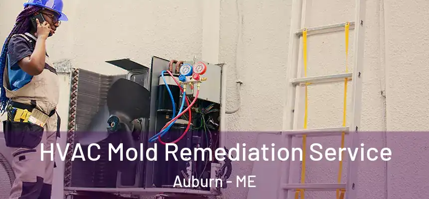 HVAC Mold Remediation Service Auburn - ME