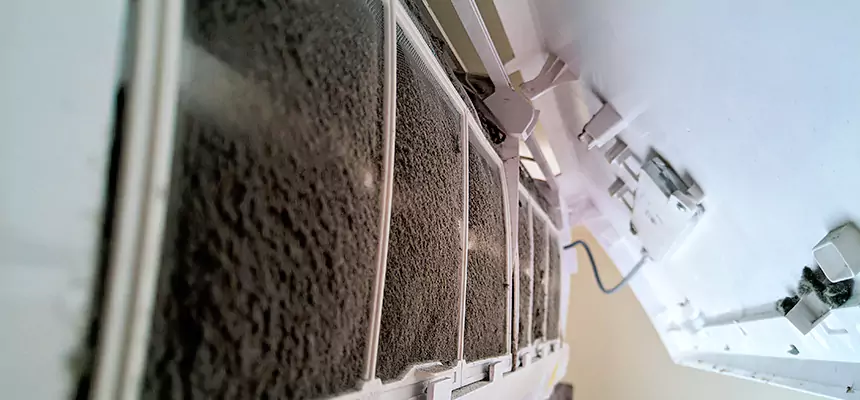 Preventive Air Duct Bacteria Removal in Auburn