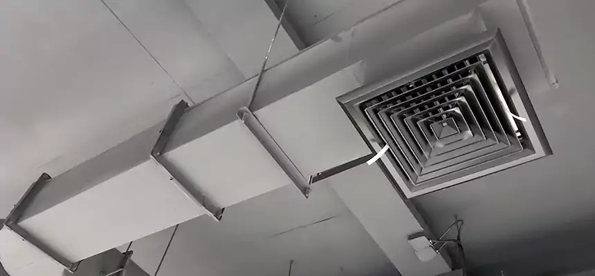 Our Pest Removal From Ducts Services in Auburn, ME