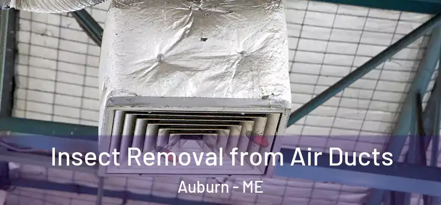  Insect Removal from Air Ducts Auburn - ME