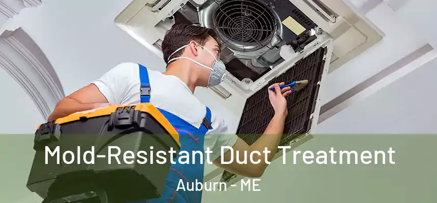  Mold-Resistant Duct Treatment Auburn - ME