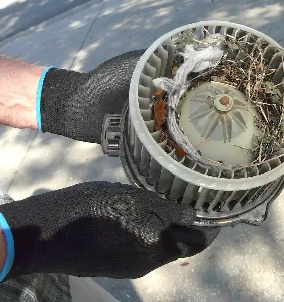 About Air Duct Rat Removal in Auburn, ME