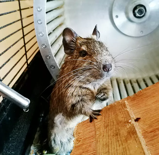 Why Homeowners & Businesses Trust Us Auburn, ME?