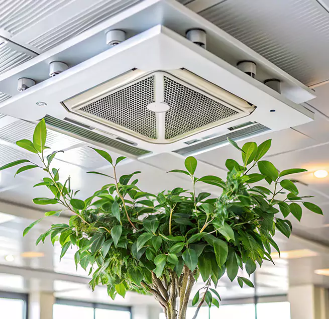 Why Homeowners & Businesses Trust Us in Auburn, ME?